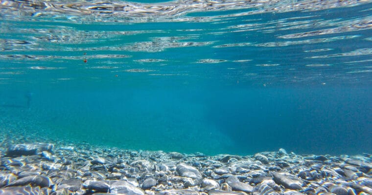 Qué significa “Ocean Friendly” o “Reef Safe” y por qué debes usar protectores solares que lo sean