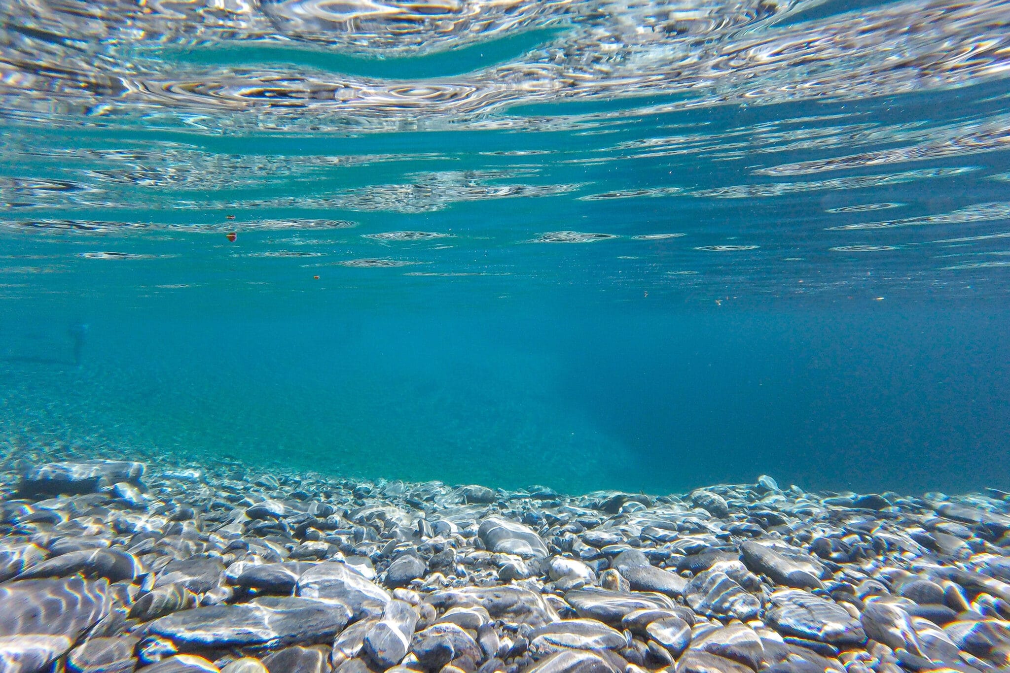 Qué significa “Ocean Friendly” o “Reef Safe” y por qué debes usar protectores solares que lo sean