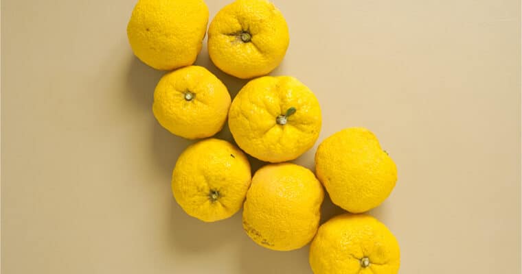 Por qué el yuzu es el ingrediente que tu piel pedirá a gritos tras las vacaciones